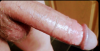 Screenshot_20210226-215559~2.png