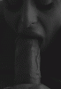 B8791781-55F9-4FFF-9693-A596E6798907.gif