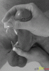 25ec5f10cf8ae24137c12d5b322e79136973411c.gif