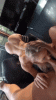 6297FBC9-BFFD-462E-8C1C-CBBB5342F5DC.gif