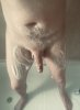 FC6DDBAC-404D-4472-BFA1-2C224EE21CB2.jpeg