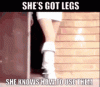 tenor (1).gif