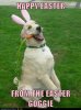i-has-a-hotdog-why-should-bunnies-get-all-the-glory.jpeg