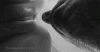 9FF8574E-0A3F-4AA4-83FA-E1F220635D9A.gif