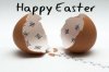 50f2d690c107de21f169e169cab5b8d2--prison-break-prison-escape.jpg