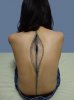 BodyArtBackZipper.jpg