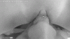 0CE26375-6460-4216-90BC-84648D5E00E3.gif