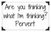 48954c9999cdb936f6feb14ddd74dabd--pervert-funny-sayings.jpg