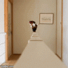 760d02bff6f8e12f8f385cbcc79a95a9_w200.gif