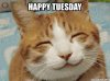 cool-happy-tuesday-meme.jpg