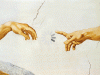 tobiasroth-1.gif