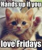 25-Funny-Friday-Memes-5-Friday-Memes.jpg