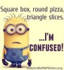 c37eda3747d3151649b1182342c81d4d--jokes-minion-hilarious-math-funny.jpg