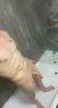 80AA8575-43EA-464C-BBB1-B1E34A26DA94.jpeg