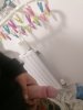 IMG_20210423_000446.jpg