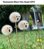 48869123a0f5c2a9535a303fbca10d69.png
