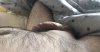 CFF5EBCA-92BB-43FE-AB2E-81D30A544DBD.jpeg