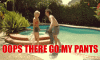 ComplicatedBountifulAnhinga-small.gif