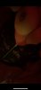 A7BD1B68-C12F-4631-869B-C6D7707B72C8.jpeg