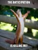 the-anticipation-is-5baaa0.jpg