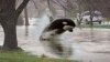 636625877055231207-shamu.jpeg