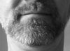 8C1E2000-789A-48DD-92A2-F0437D0D92CC.jpeg