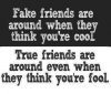 fake-friends-around-quote.jpg