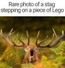 B47436BE-5B6C-4504-8DE1-78C3A649C090.jpeg