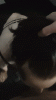 ezgif-4-25fd92fb9cf2.gif