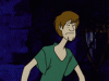 tenor.gif