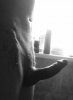 88E20821-D88F-428B-A3BF-57B6119BF5BC.jpeg