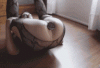 21434164.gif