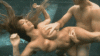 21357321.gif