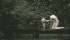 19527032.gif