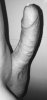 17DB194C-1EEC-4DFD-BF7A-6C7E1098D957.jpeg