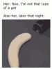 tenor.gif