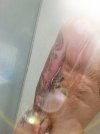 20210610_180806.jpg