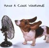 cool-weekend-quote.jpg