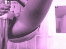 14803.gif