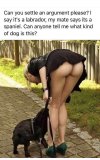 9A2C45AB-8D00-4CA3-B7CE-A091D5A4986C.jpeg