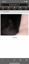 A3EE4CF1-37FE-40C3-B72C-4E3CBD411893.jpeg