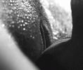 008adcee344355e57f46ee0cc13b118354ffa25389c49080.gif