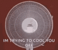 tenor.gif