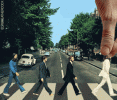animated_gif_selection_01.gif