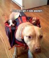 subwoofer.jpg