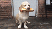 482ac0b44cb128678d6fc3d01b67c673.gif