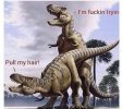90978674-1AE7-4ECD-A413-A7D3D8819DD9.jpeg