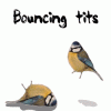 Bouncin tits.gif