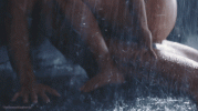 tumblr_pi07wfQ8fA1s6oo3bo1_400.gif