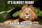 its-almost-friday-qc78fs.jpg